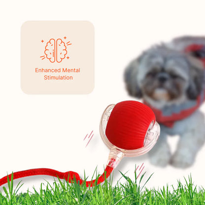 JoyBall® - Interactive Dog Ball